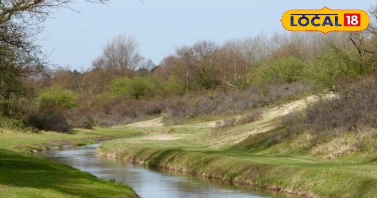 गेहूं की फसल को पानी नहीं, आधुनिकीकरण बना किसानों के लिए संकट, चित्रकूट के किसानों की बढ़ी मुश्किलें