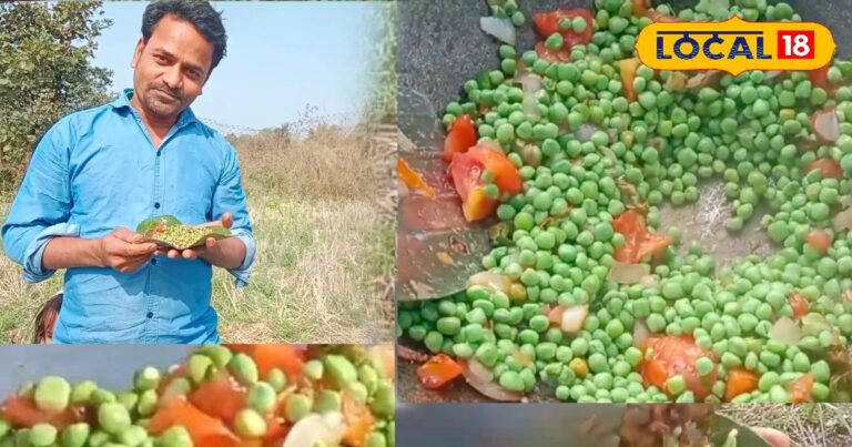 Make Chhattisgarh’s popular Chana Chatpati at home; the taste is so delicious you’ll be licking your fingers! – Chhattisgarh News