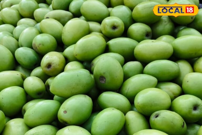 Ber Ke Fayde: त्वचा, दिल और पाचन के लिए बेहतरीन…. बेर के चमत्कारिक लाभ, ऐसे करें इसका सेवन – Uttar Pradesh News